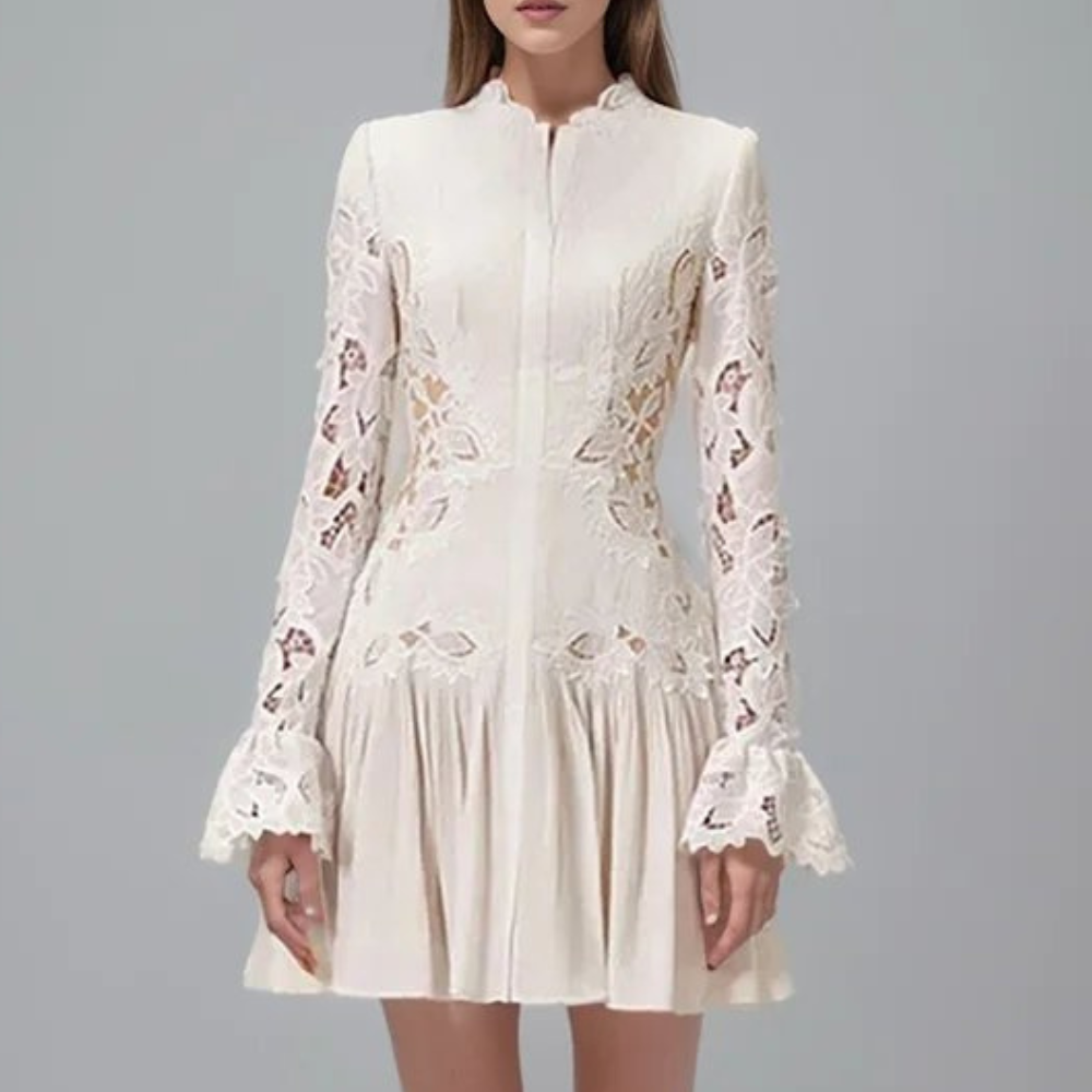 Lace Long-Sleeve Mini Dress